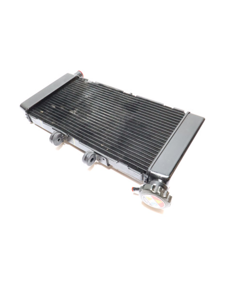 Honda NC750X, kylare