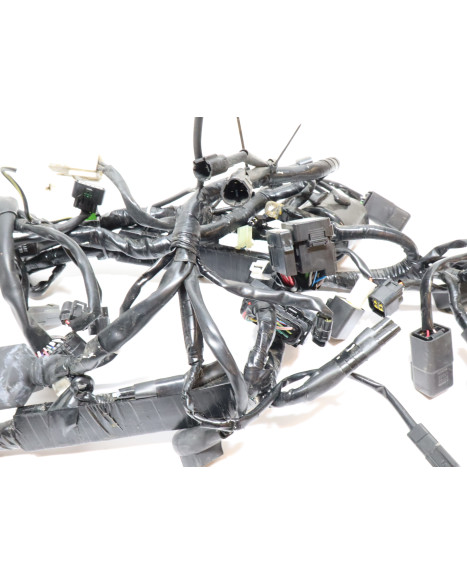 Kawasaki Ninja 125, kabelhärva