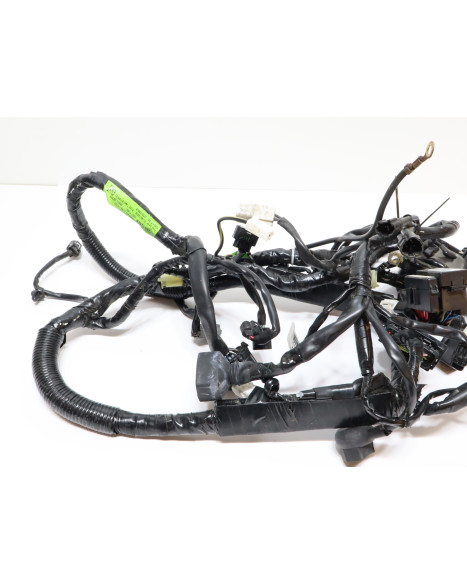 Kawasaki Ninja 125, kabelhärva