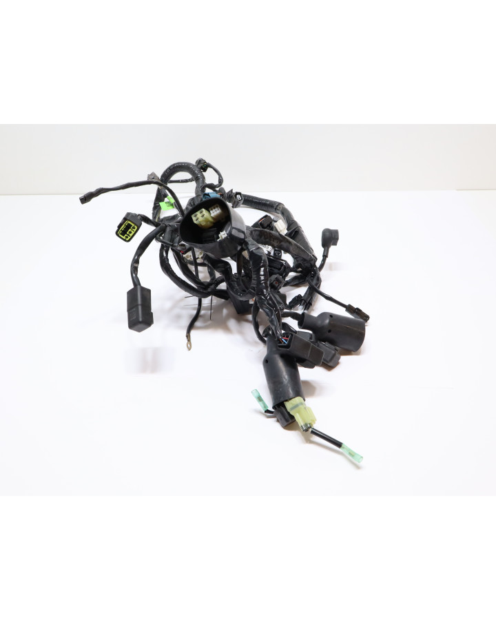 Kawasaki Ninja 125, kabelhärva