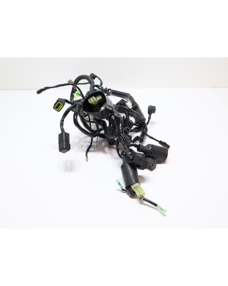 Kawasaki Ninja 125, kabelhärva