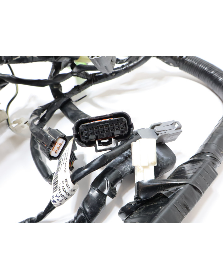 Kawasaki Ninja 125, kabelhärva