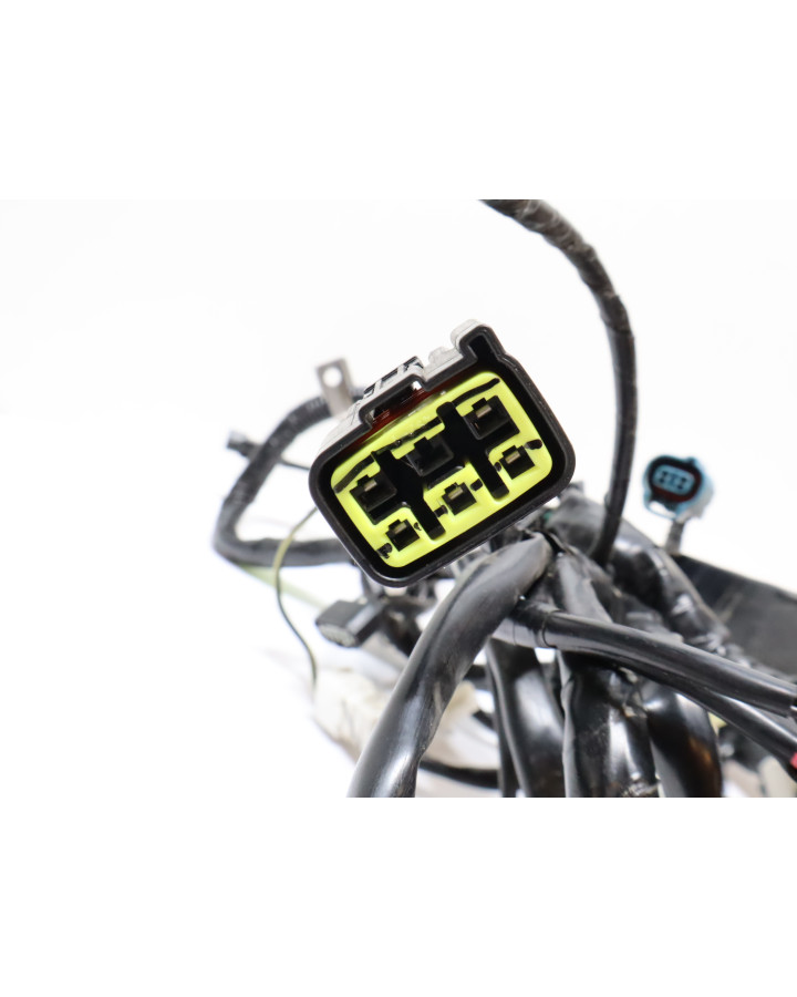 Kawasaki Ninja 125, kabelhärva