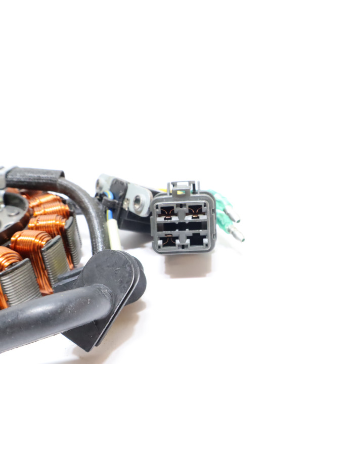 Adly ATV 300, tändplatta