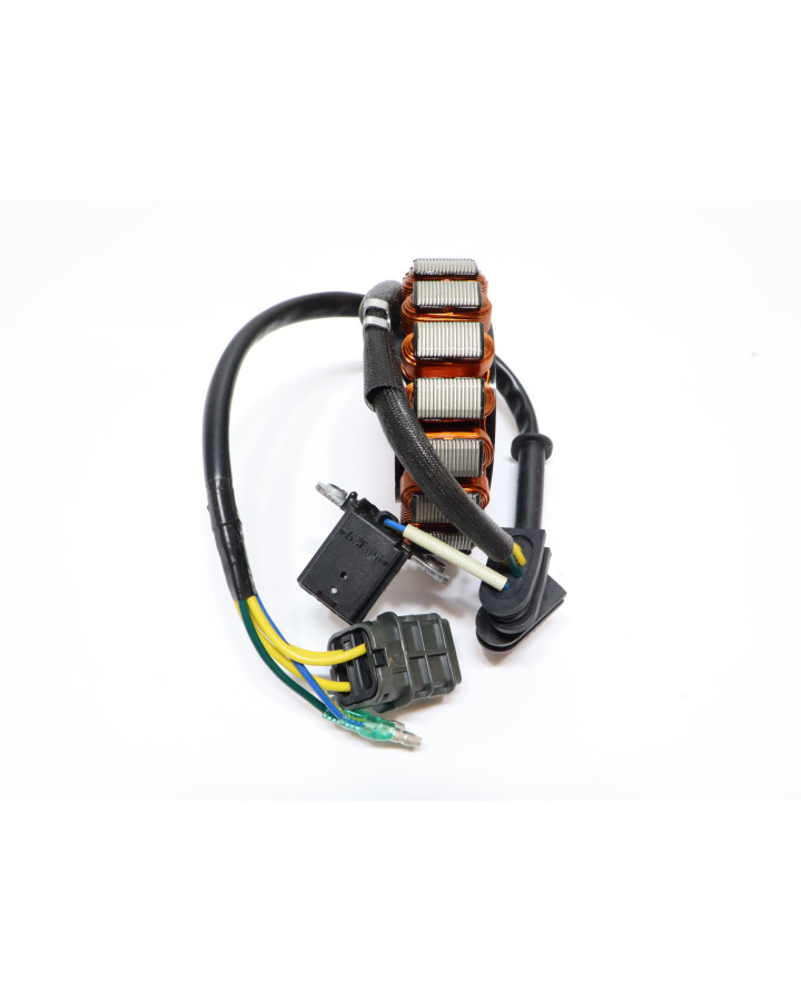 Adly ATV 300, tändplatta