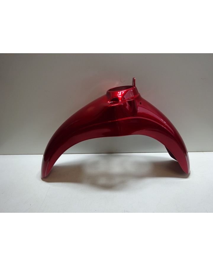 Aprilia Scarabeo, framskärm