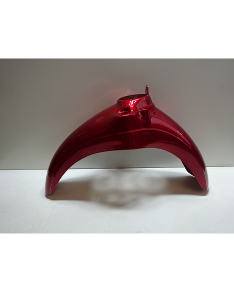 Aprilia Scarabeo, framskärm