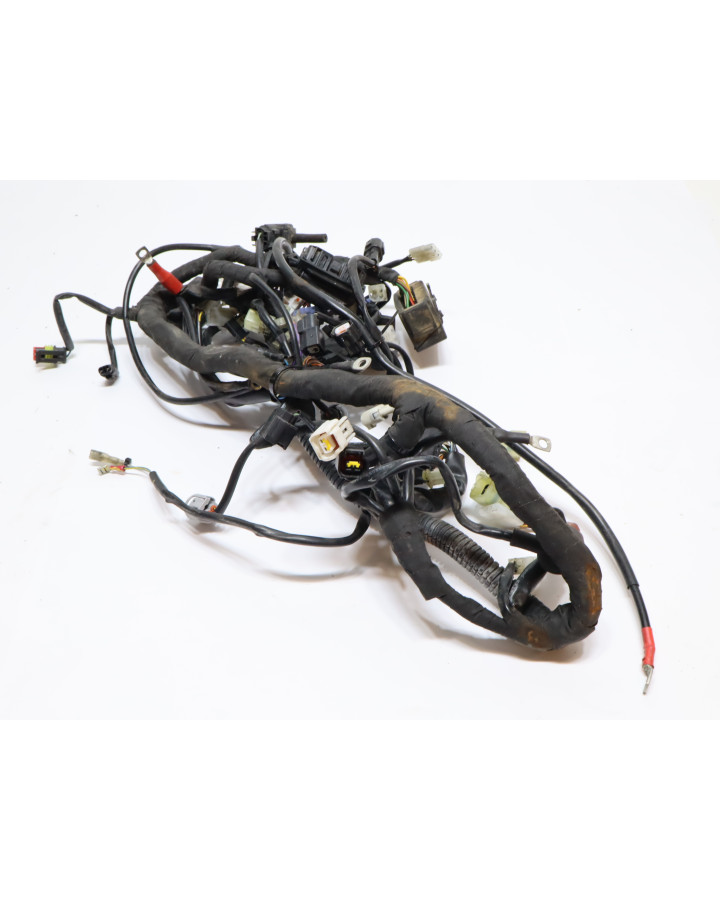 KTM 690 SMC R, kabelhärva