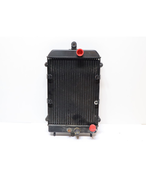 Kawasaki VN1500 Classic, kylare