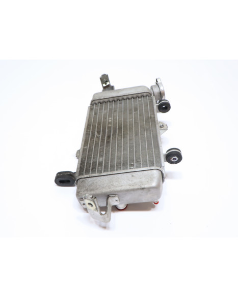 Yamaha YZF-R125, kylare