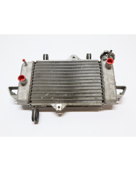 Yamaha YZF-R125, kylare