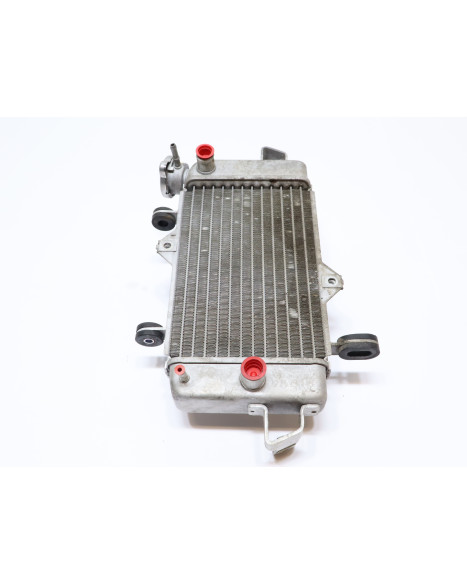 Yamaha YZF-R125, kylare