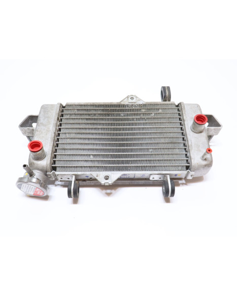 Yamaha YZF-R125, kylare