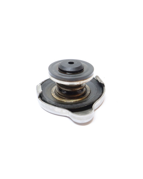 BMW S1000RR, kylarlock