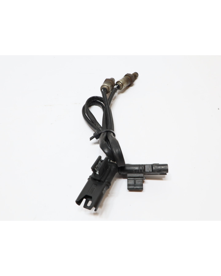 BMW S1000RR, lambdasond (par)