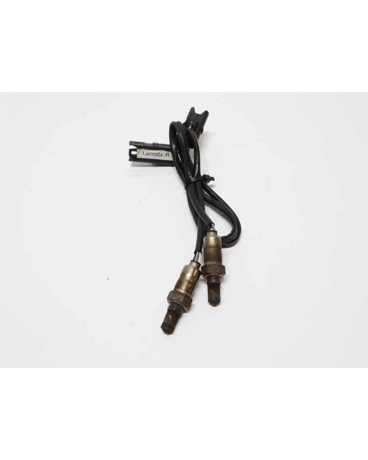 BMW S1000RR, lambdasond (par)