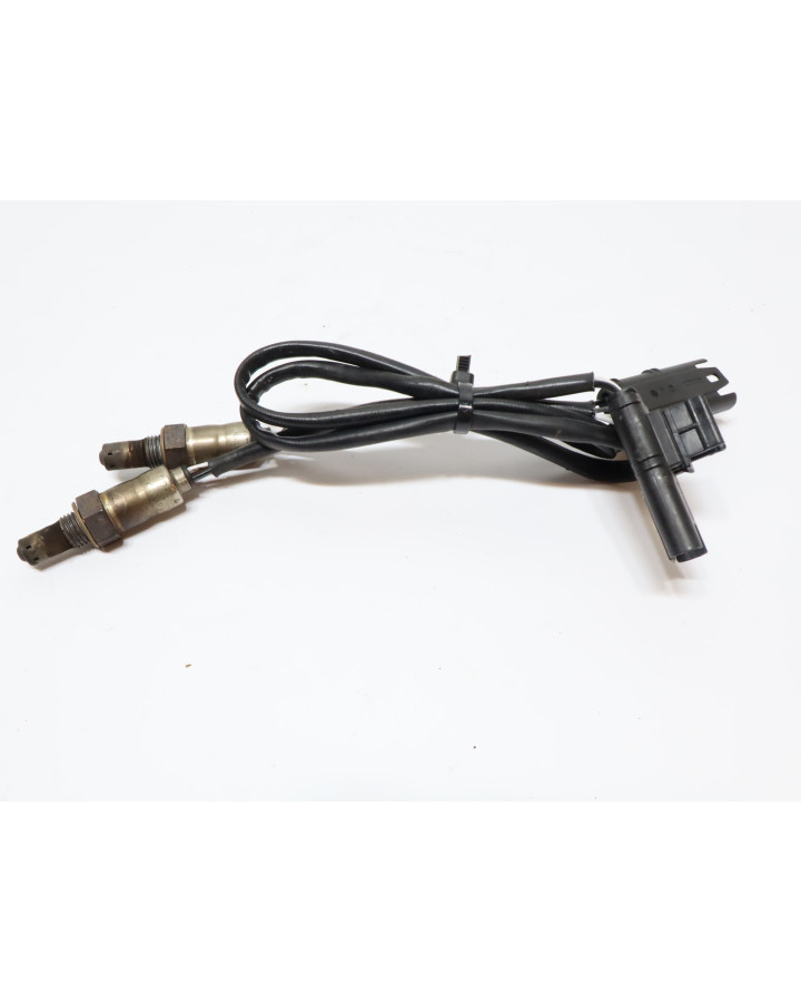 BMW S1000RR, lambdasond (par)