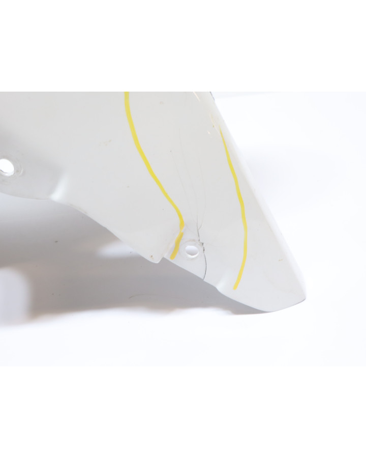 BMW S1000RR, framskärm