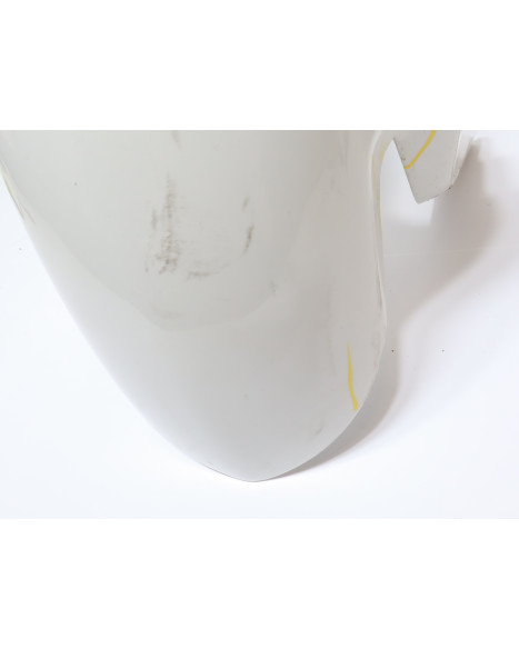 BMW S1000RR, framskärm