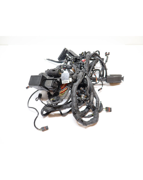 BMW S1000RR, kabelhärva