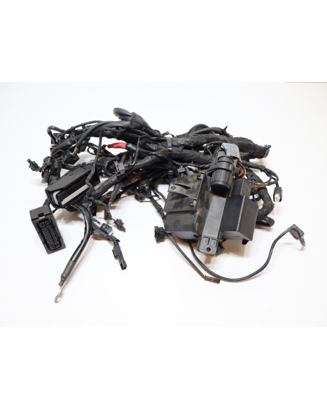 BMW S1000RR, kabelhärva