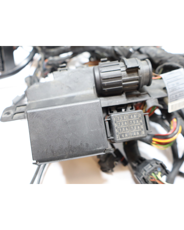 BMW S1000RR, kabelhärva