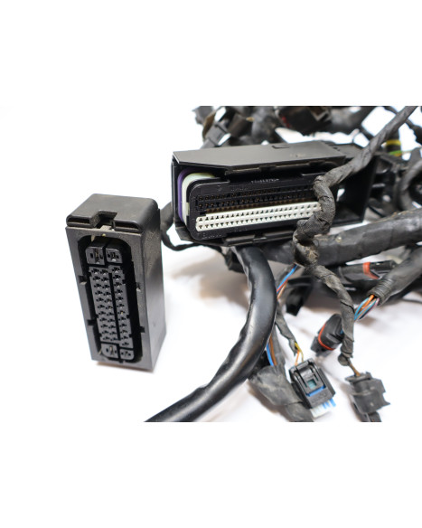 BMW S1000RR, kabelhärva