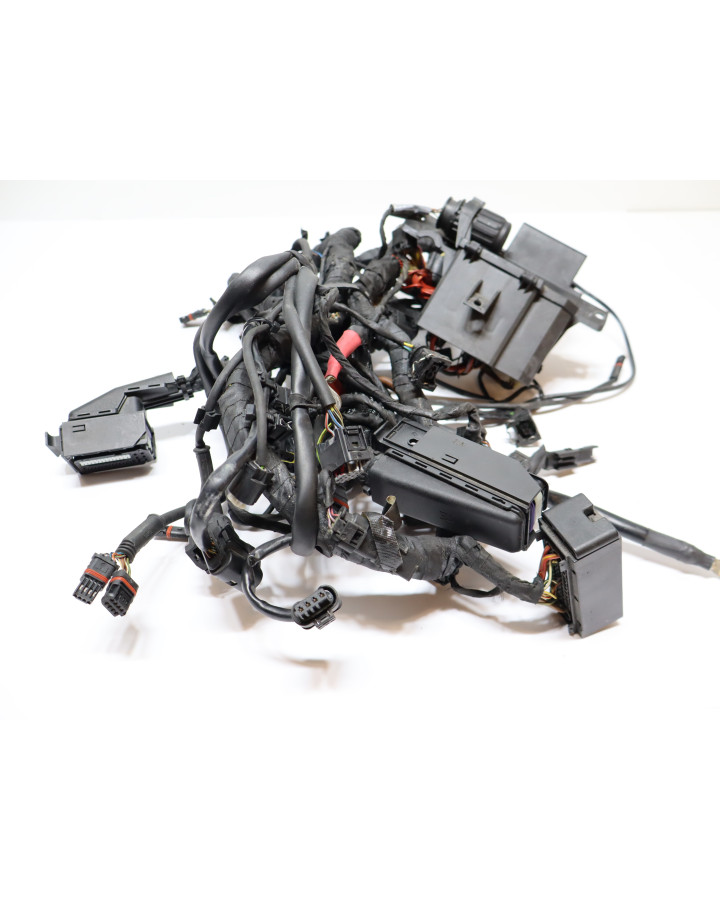 BMW S1000RR, kabelhärva