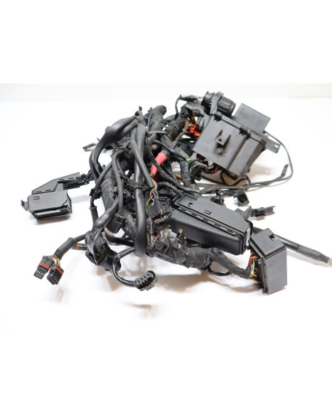 BMW S1000RR, kabelhärva