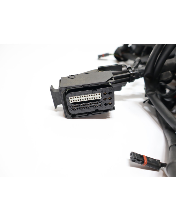 BMW S1000RR, kabelhärva