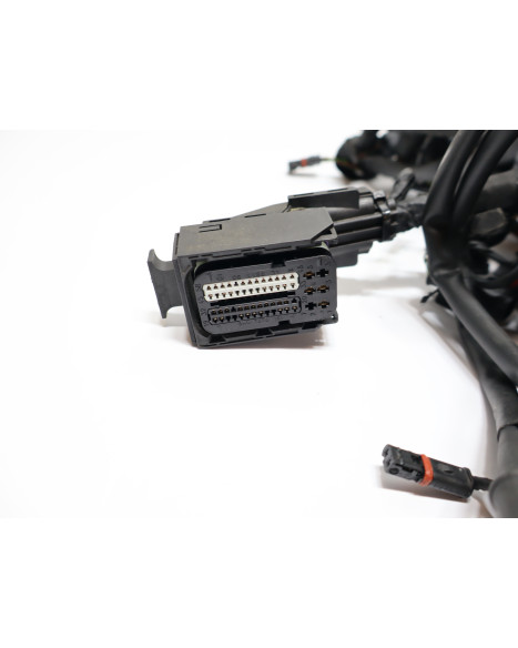 BMW S1000RR, kabelhärva