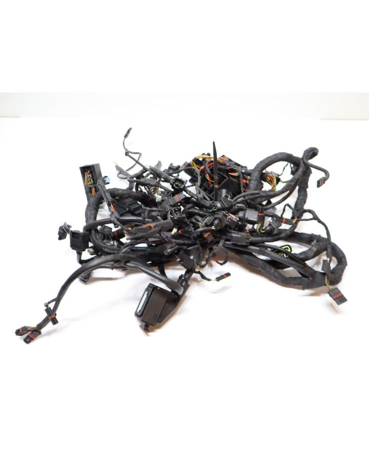 BMW S1000RR, kabelhärva