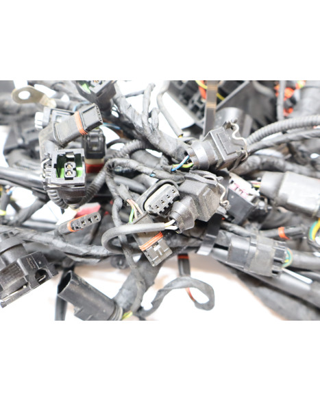 BMW S1000RR, kabelhärva