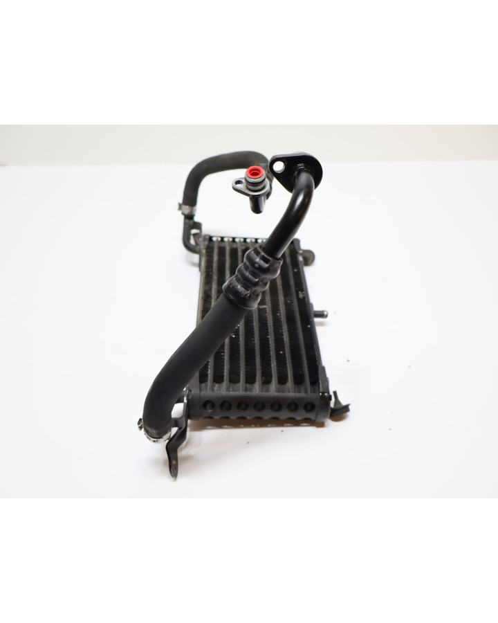 BMW S1000RR, oljekylare