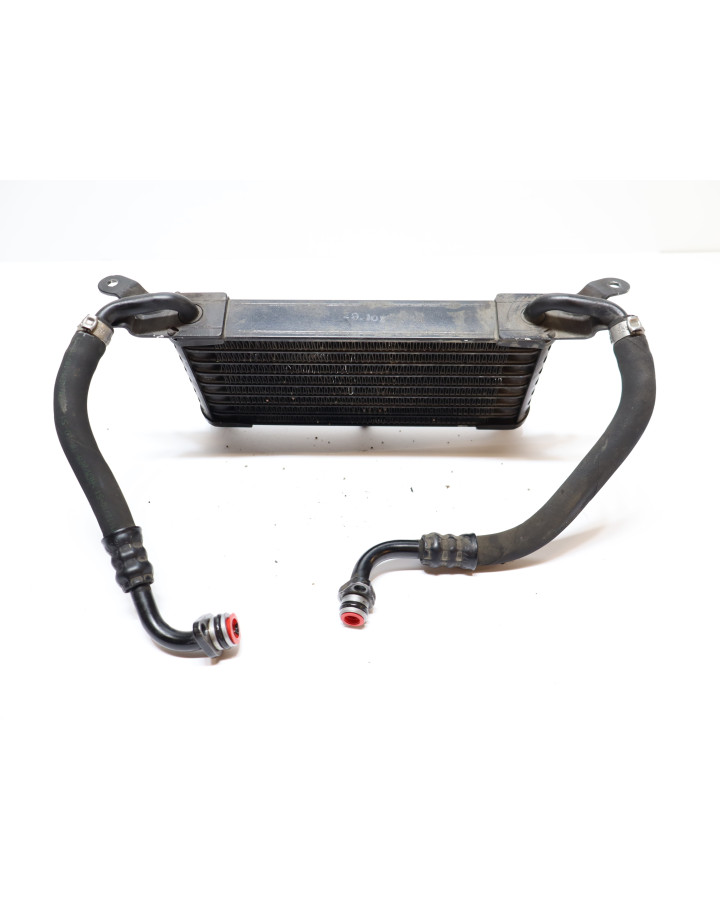 BMW S1000RR, oljekylare