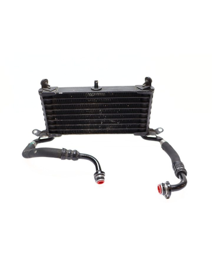 BMW S1000RR, oljekylare