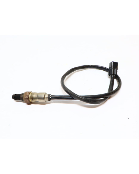 Peugeot Kisbee, lambdasond