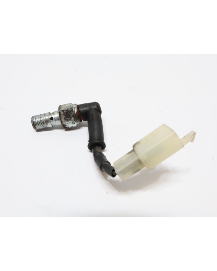 KTM 690 SMC R, bromsljuskontakt bak