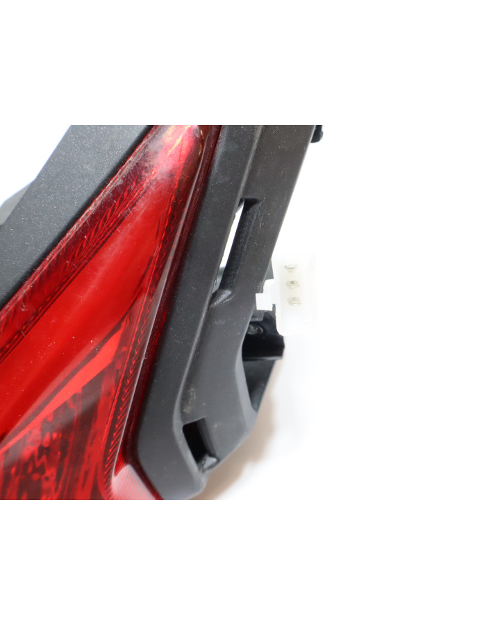 Invicta Venator, baklykta