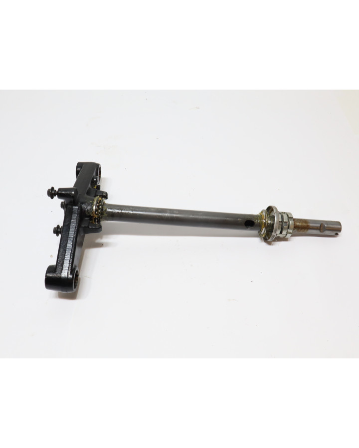 Yamaha Neos, styrkrona