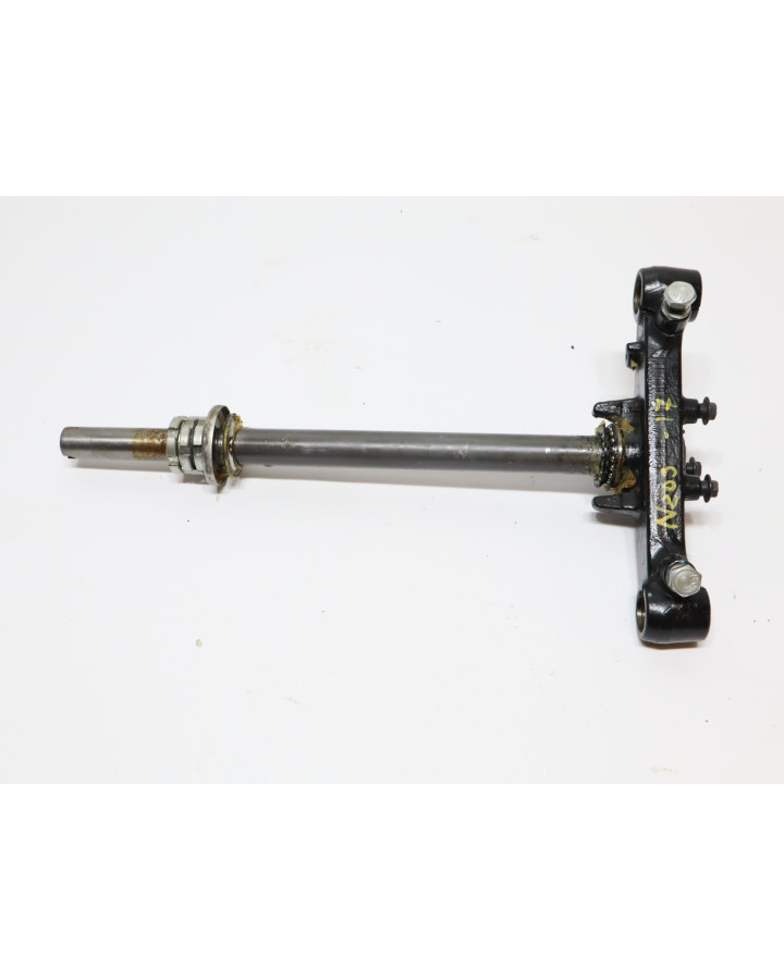 Yamaha Neos, styrkrona