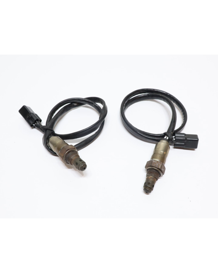 Ducati Supersport 950 S, lambdasond (par)