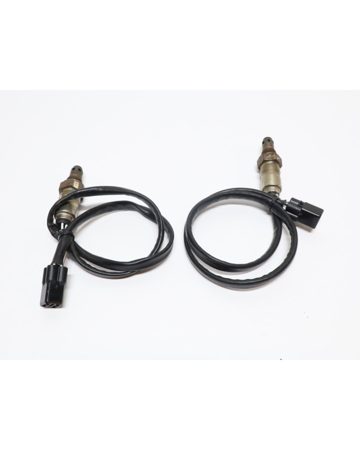 Ducati Supersport 950 S, lambdasond (par)