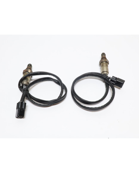 Ducati Supersport 950 S, lambdasond (par)