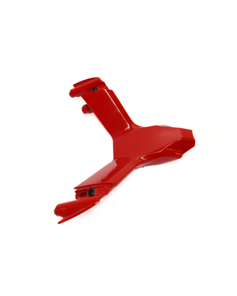 Ducati Supersport 950 S, mittkåpa front 2