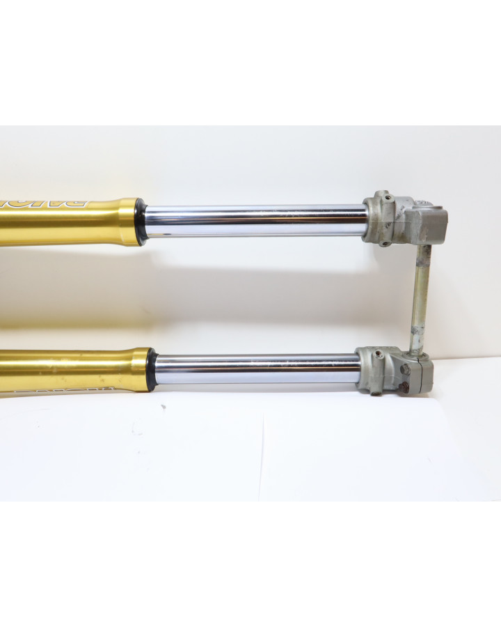 Motorhispania Ryz, framgaffel