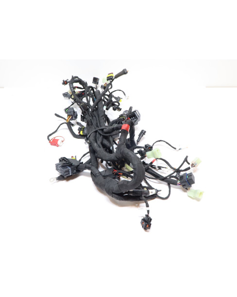 Ducati Supersport 950 S, kabelhärva 2