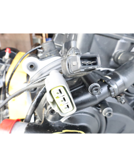 Ducati Supersport 950 S, motor