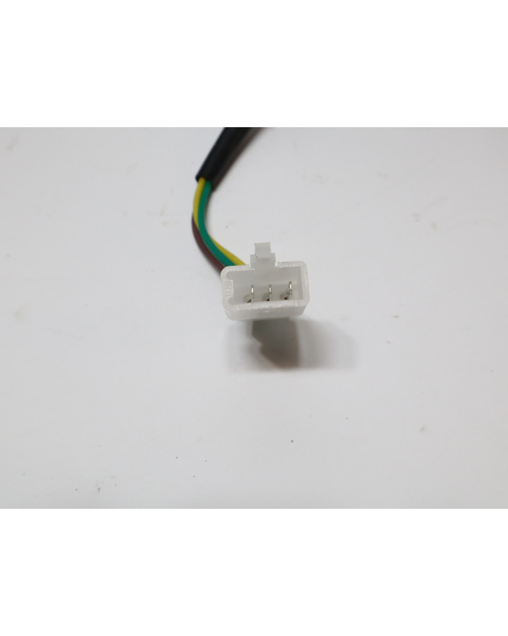 Invicta Venator, baklykta