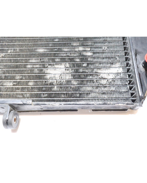 Yamaha YZF-R1, kylare